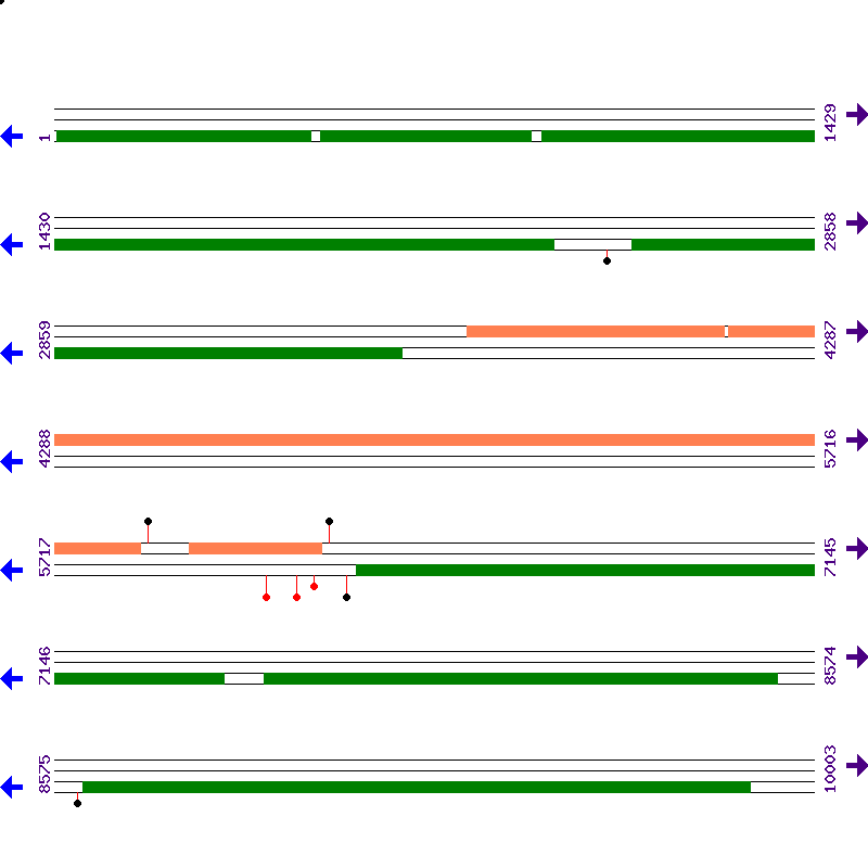 Genome View