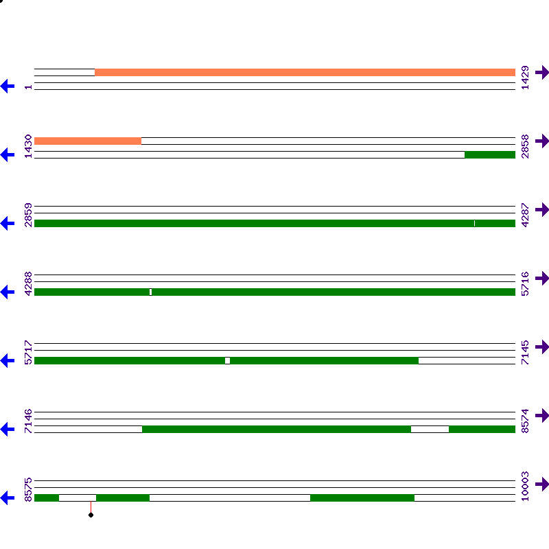 Genome View