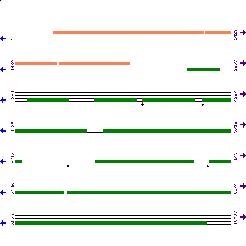 Genome View