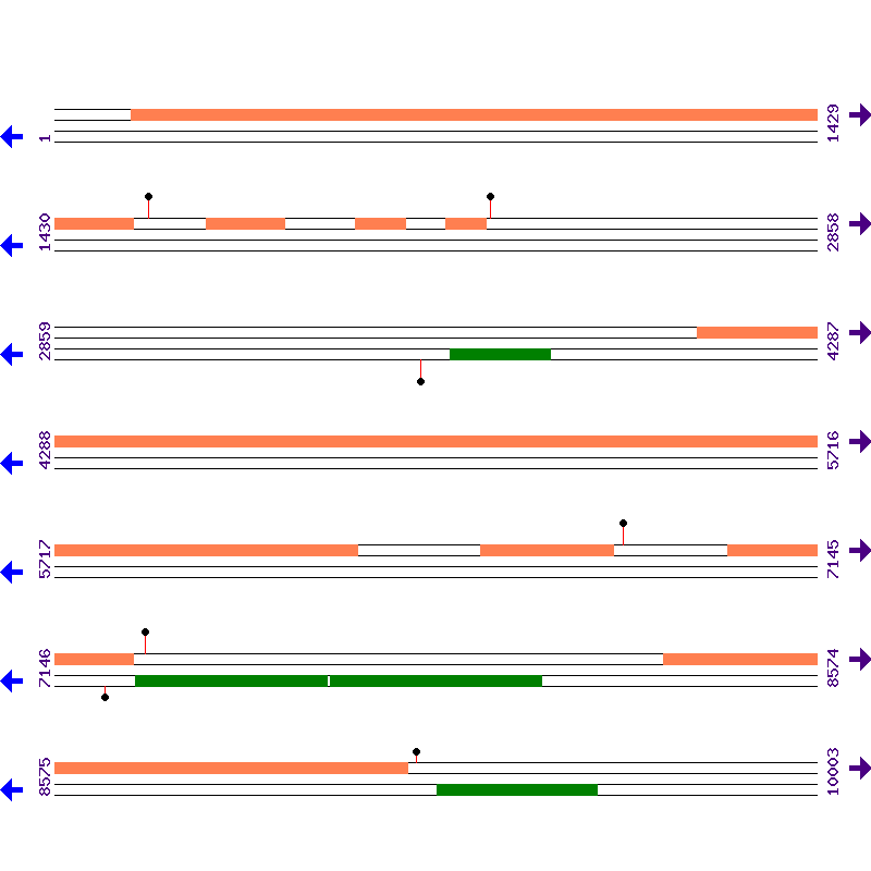 Genome View