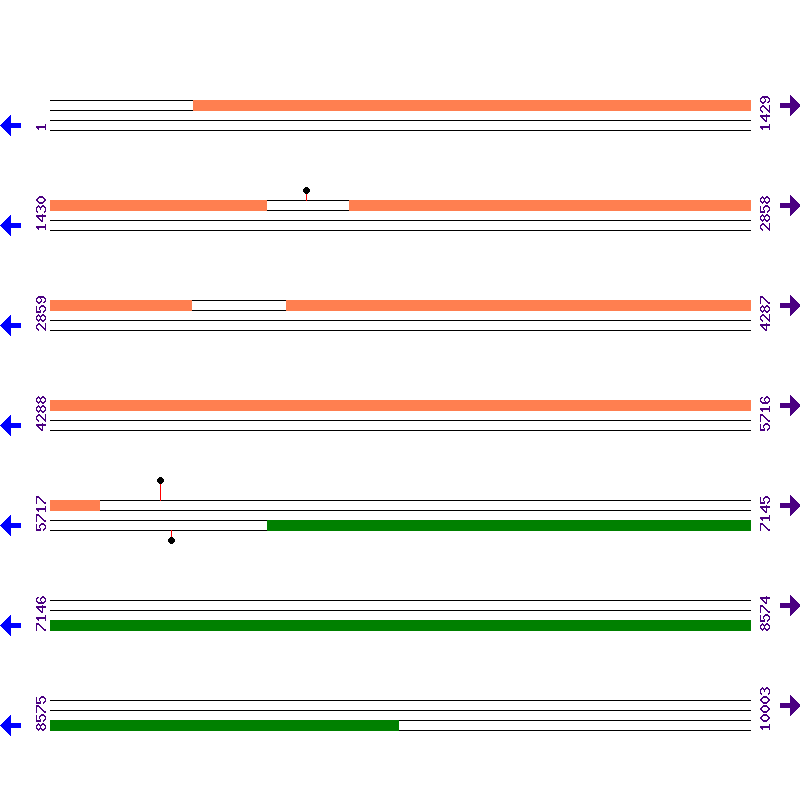 Genome View