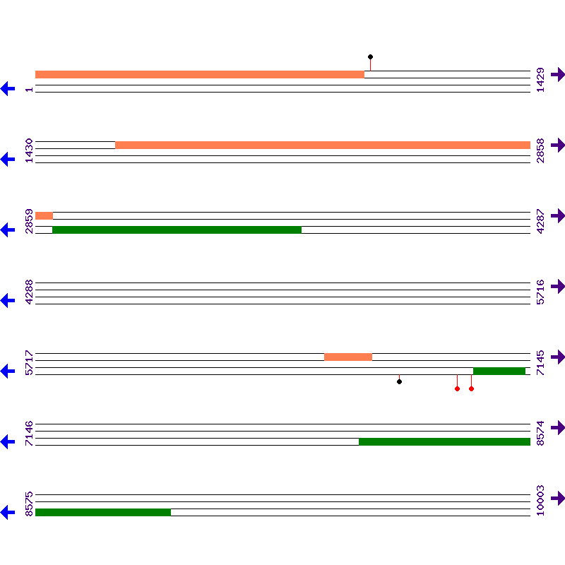 Genome View