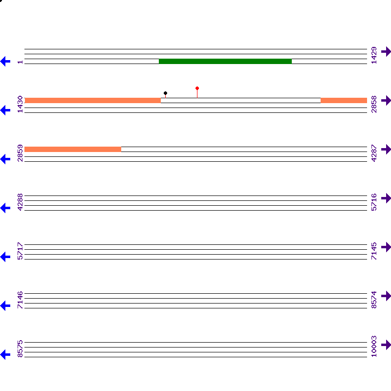 Genome View