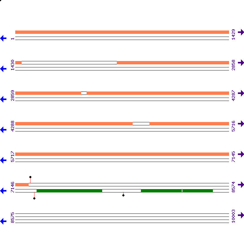 Genome View