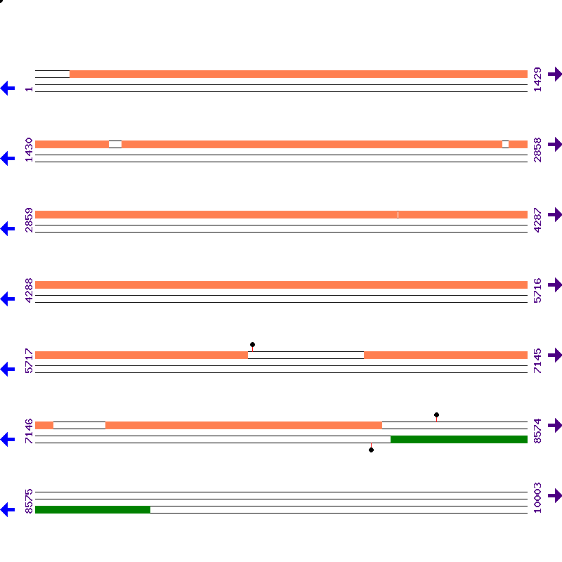 Genome View