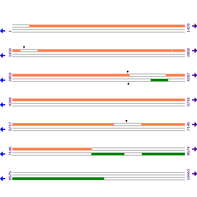 Genome View