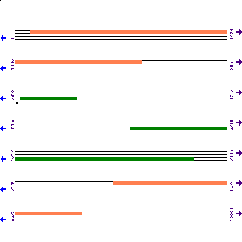 Genome View