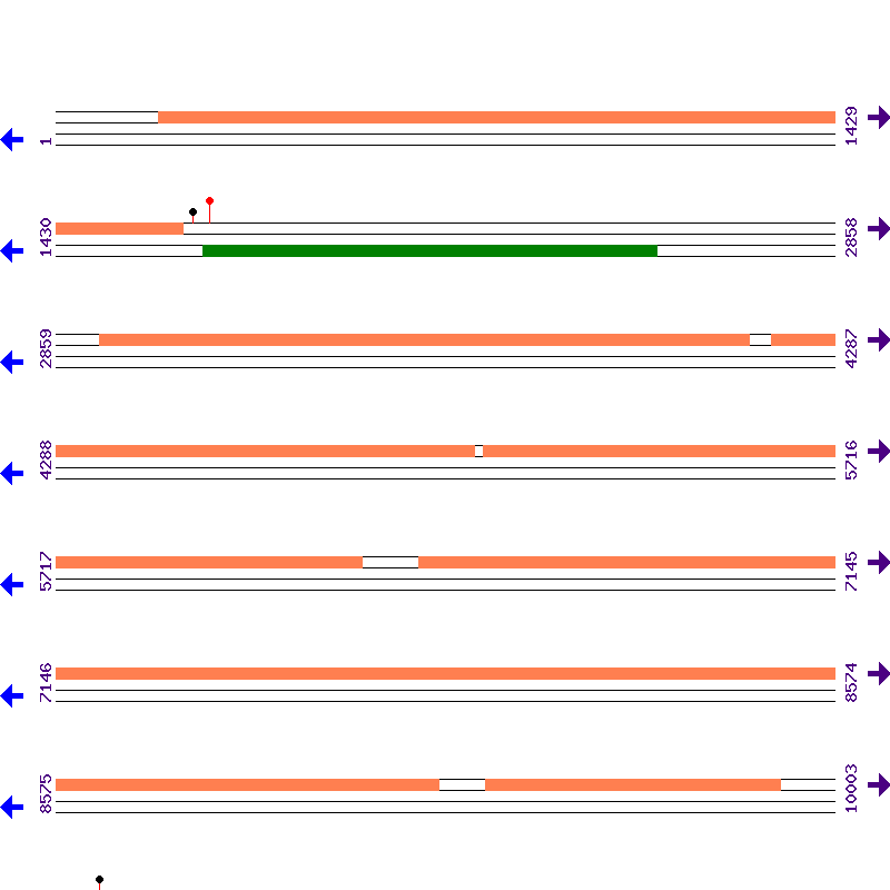 Genome View