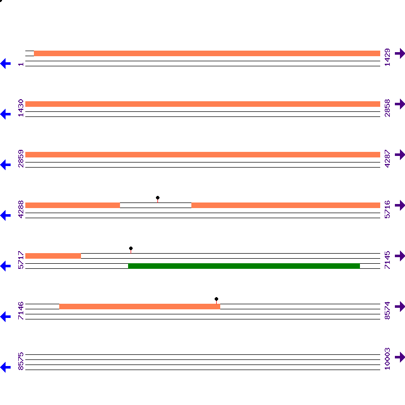 Genome View