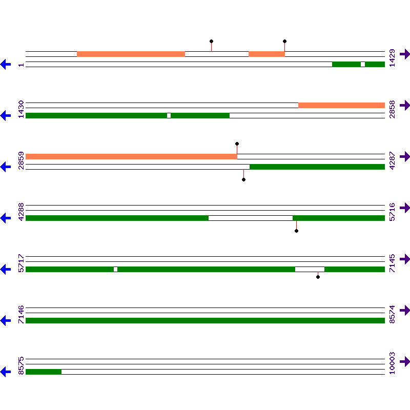 Genome View
