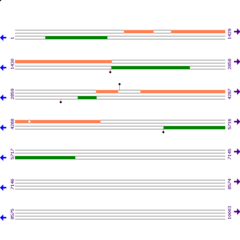 Genome View