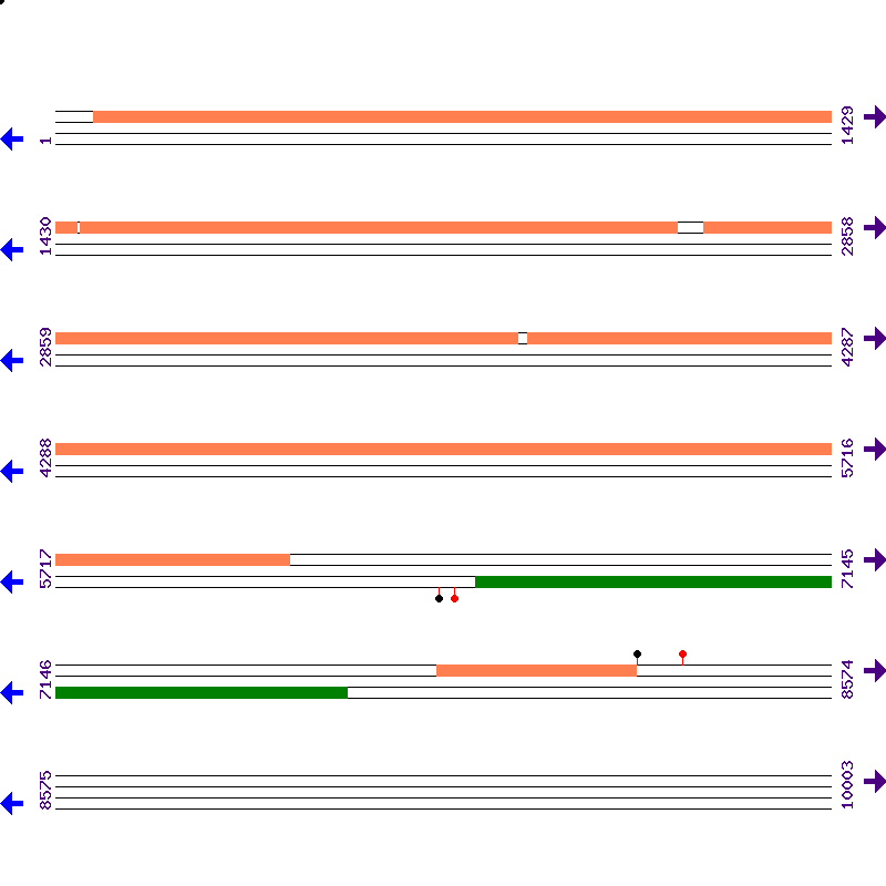 Genome View