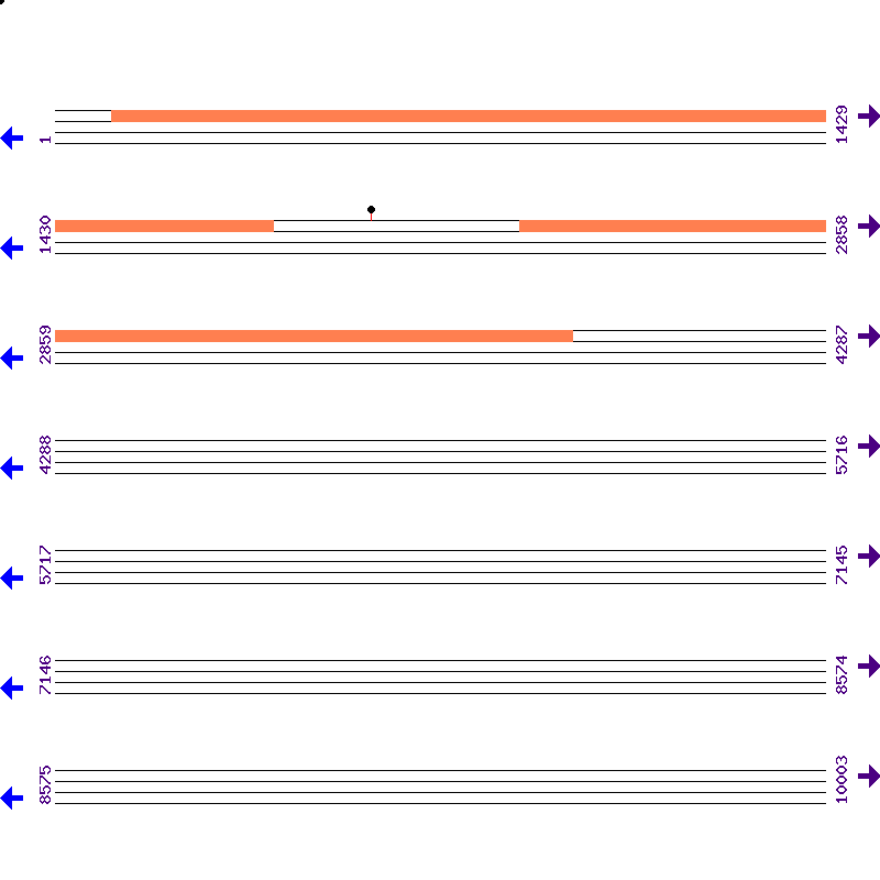 Genome View