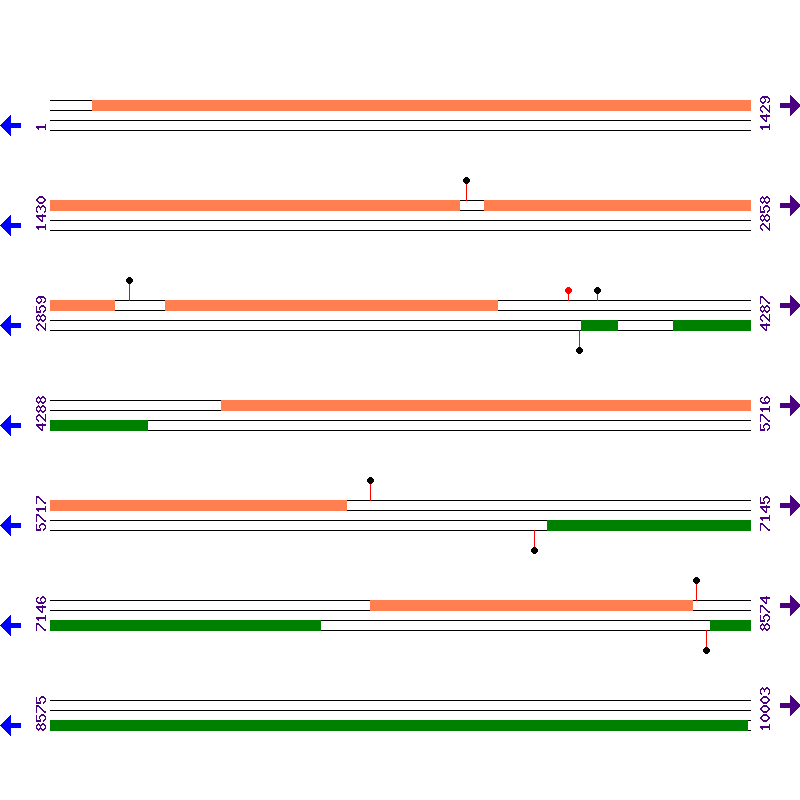 Genome View