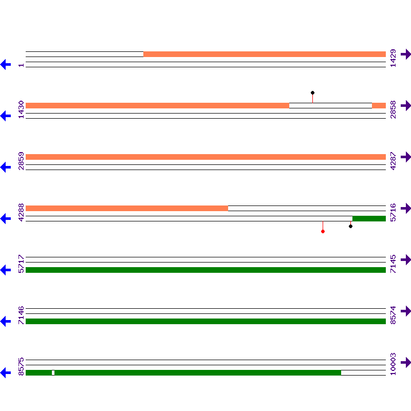 Genome View
