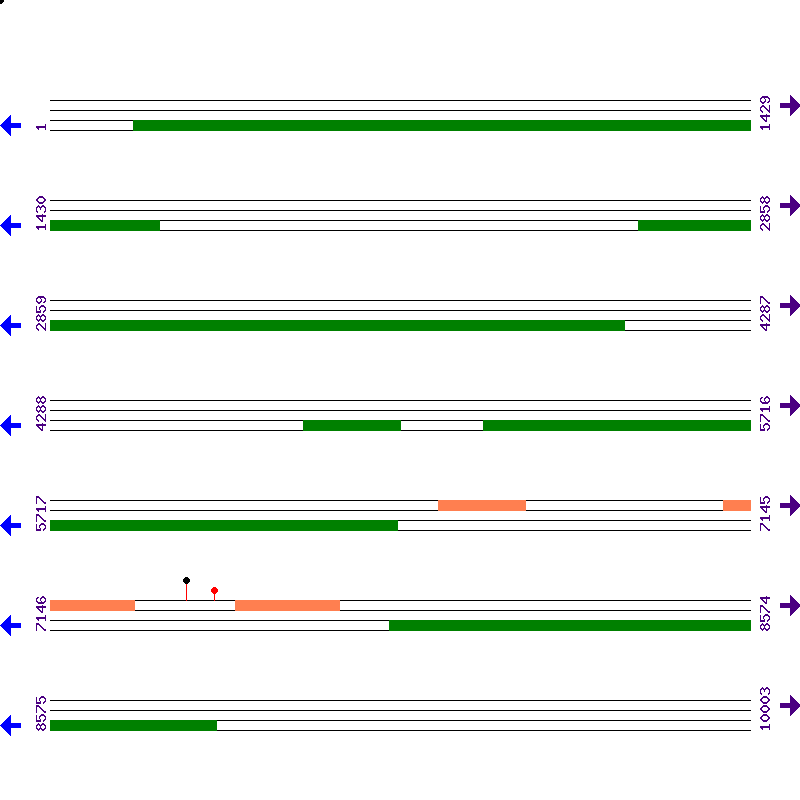 Genome View