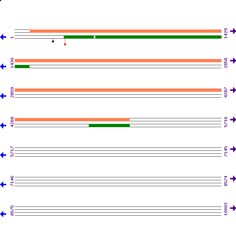 Genome View