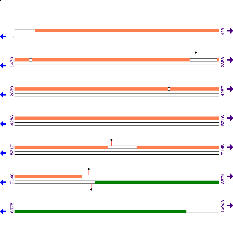 Genome View