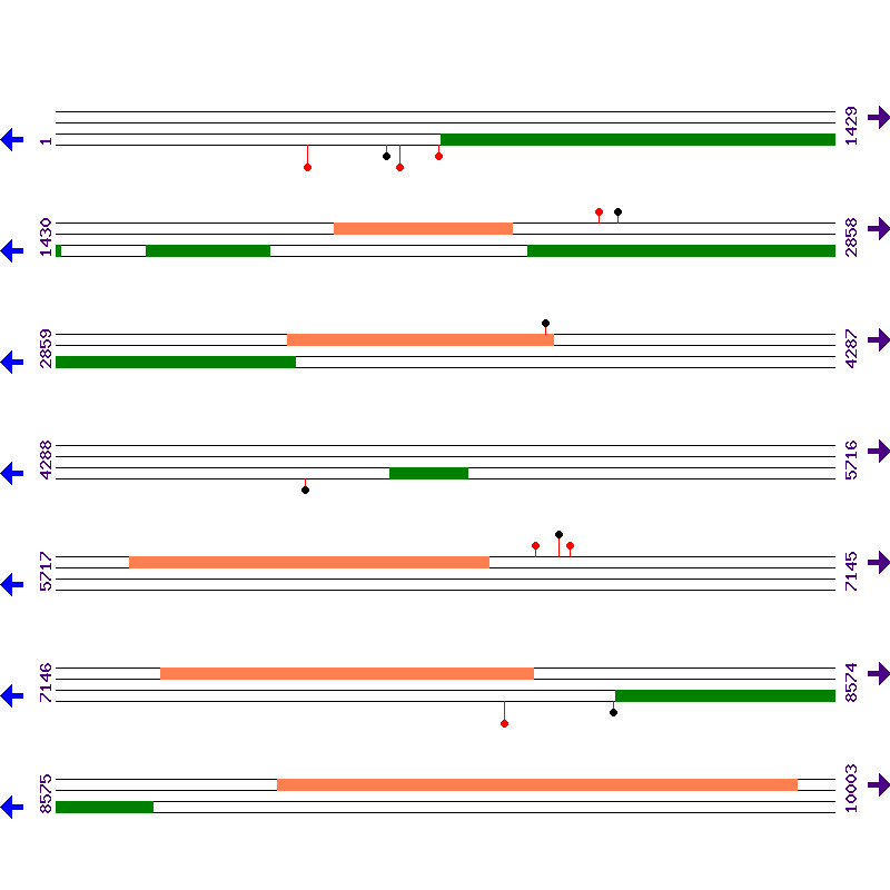 Genome View