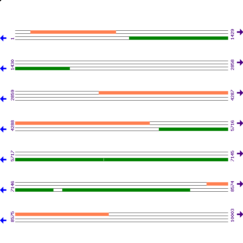 Genome View