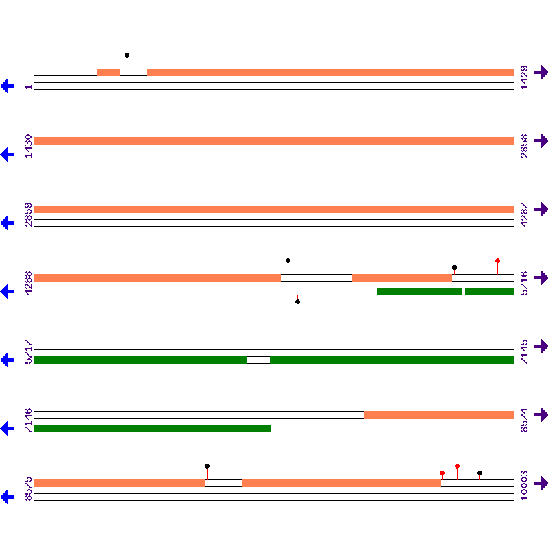 Genome View