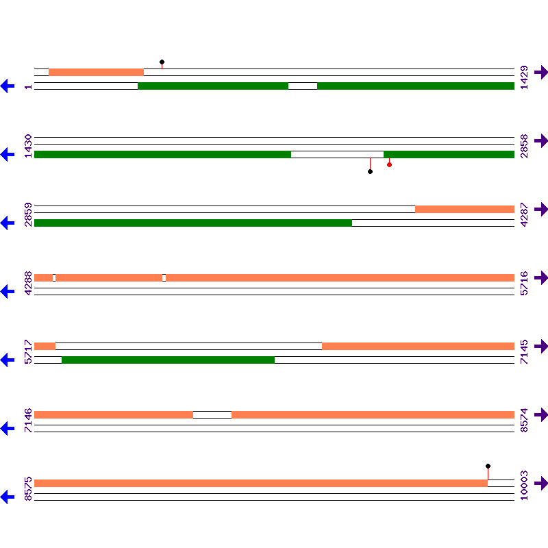Genome View