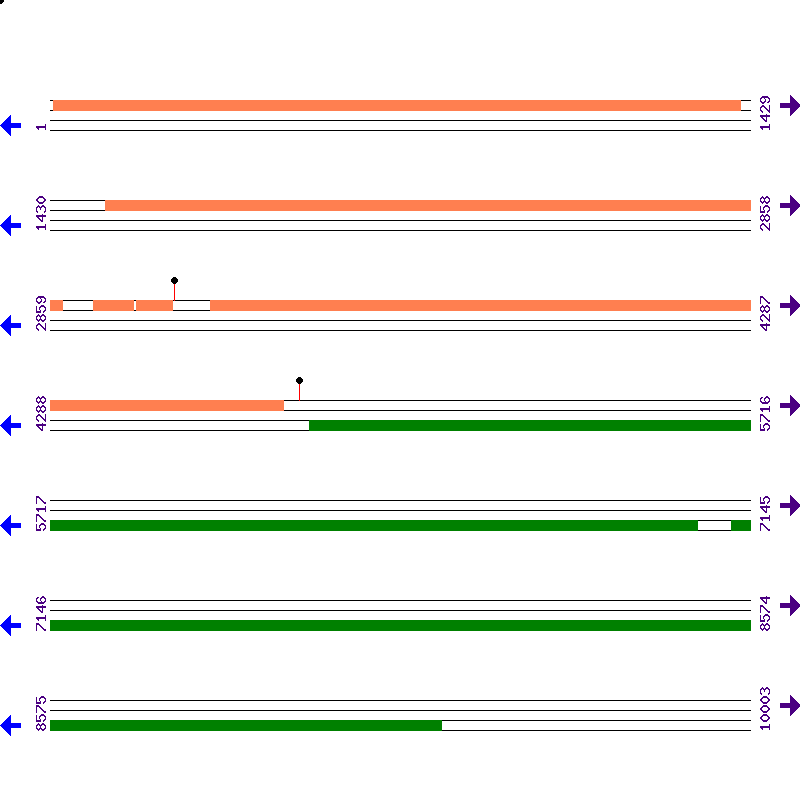 Genome View