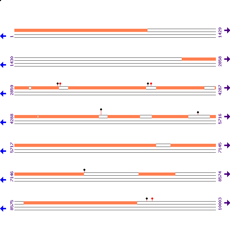 Genome View