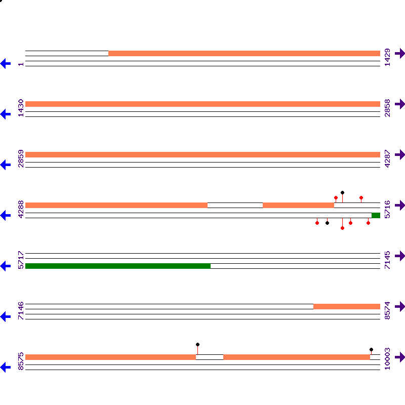 Genome View