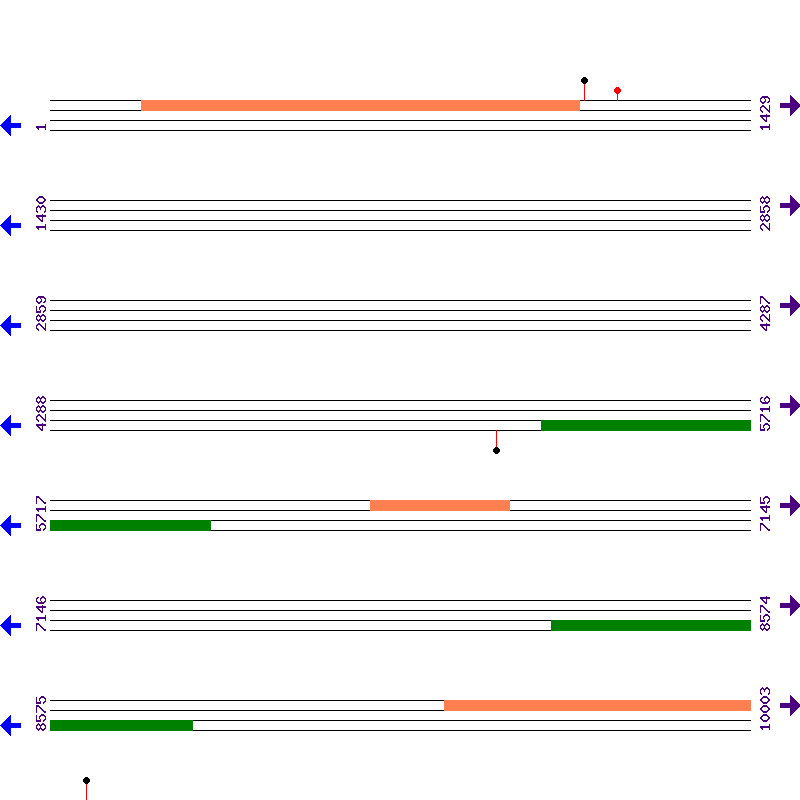 Genome View