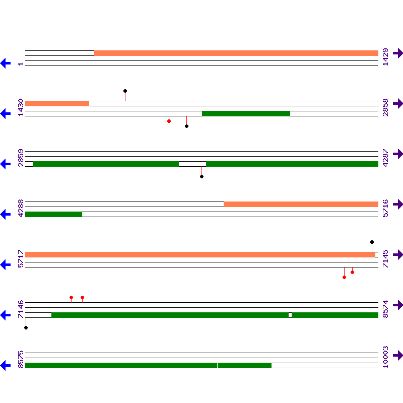 Genome View