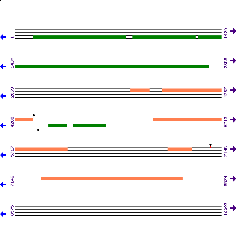 Genome View