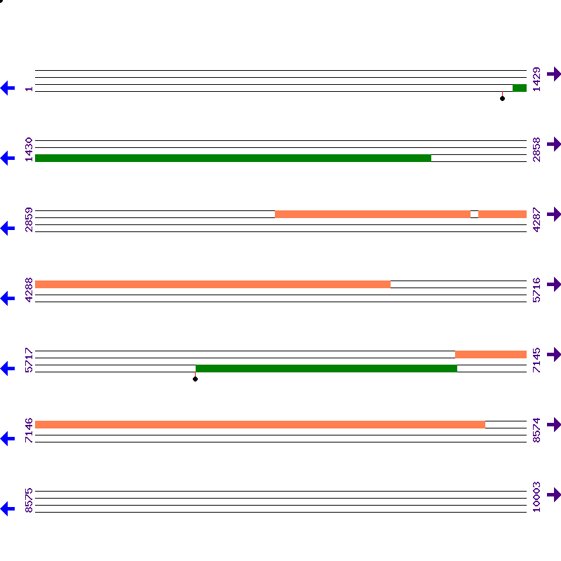 Genome View