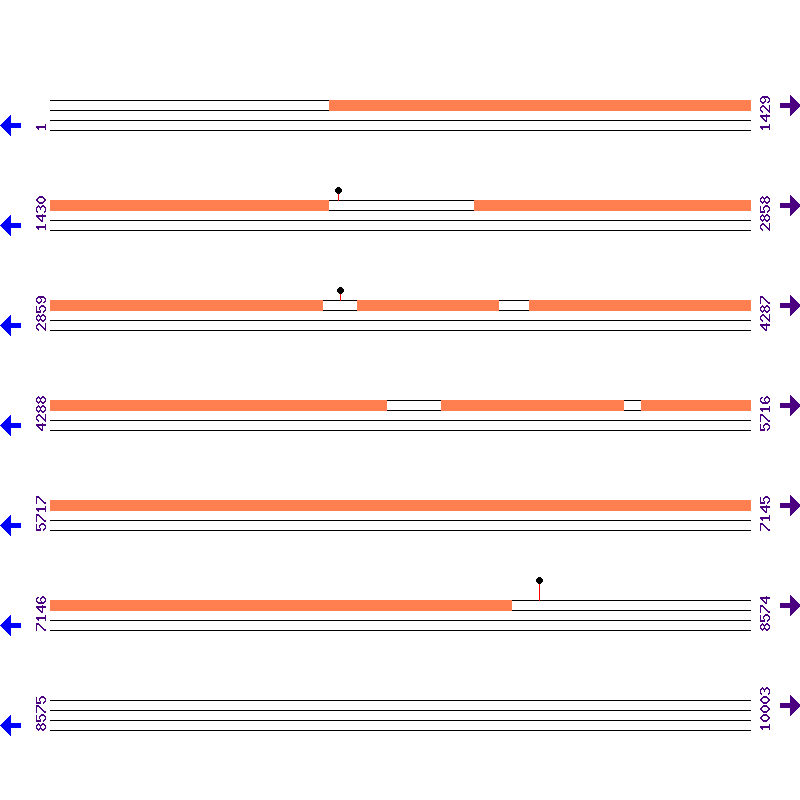 Genome View