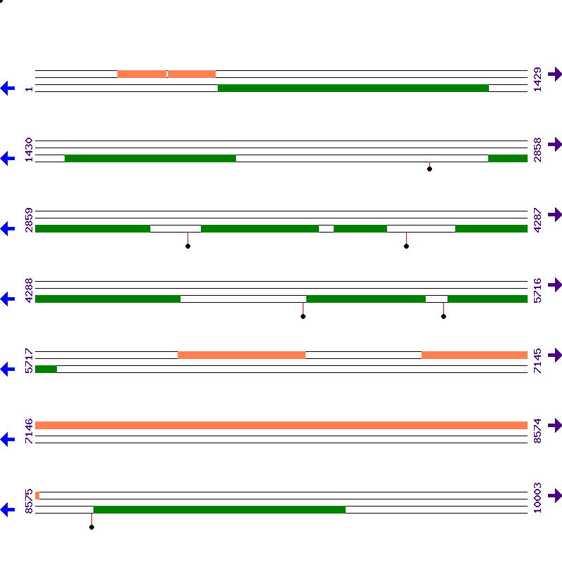 Genome View