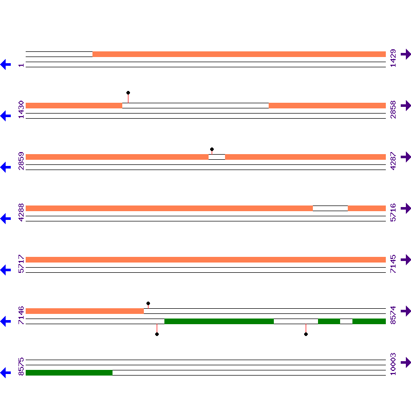 Genome View
