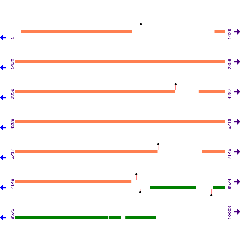 Genome View