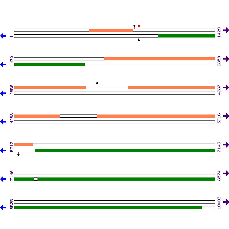 Genome View