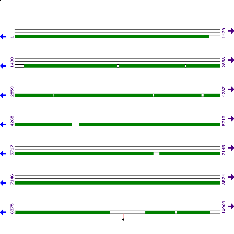 Genome View