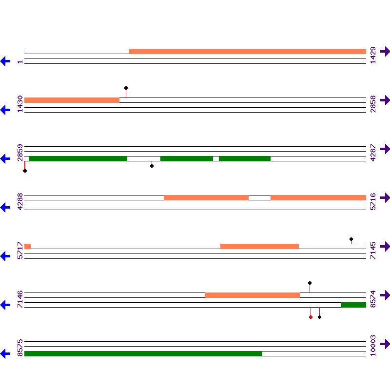 Genome View