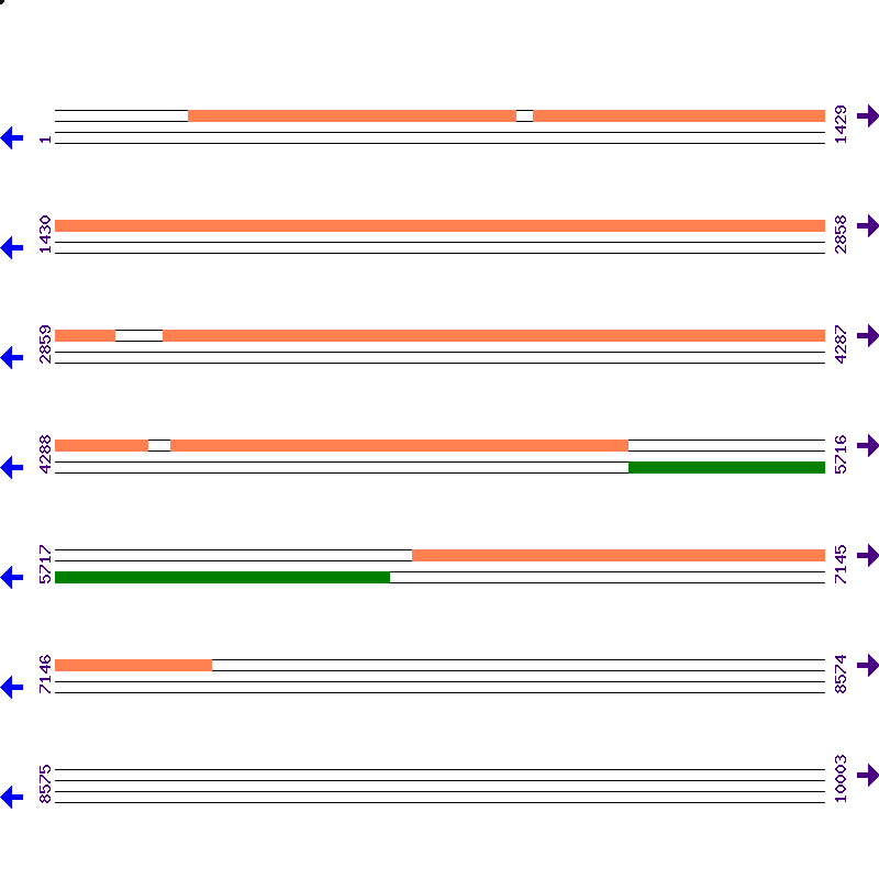 Genome View