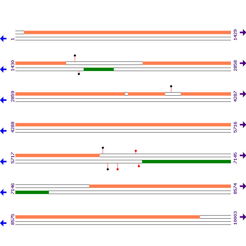 Genome View