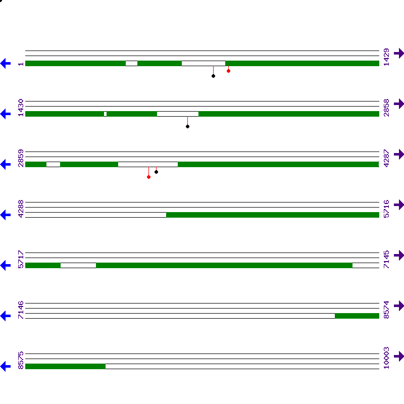 Genome View
