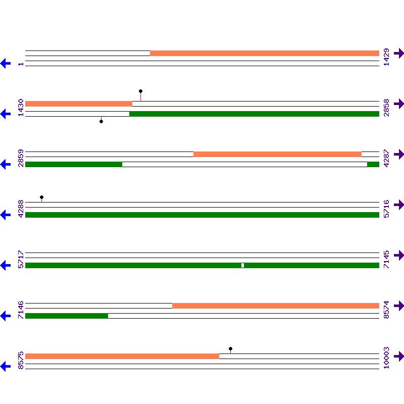 Genome View