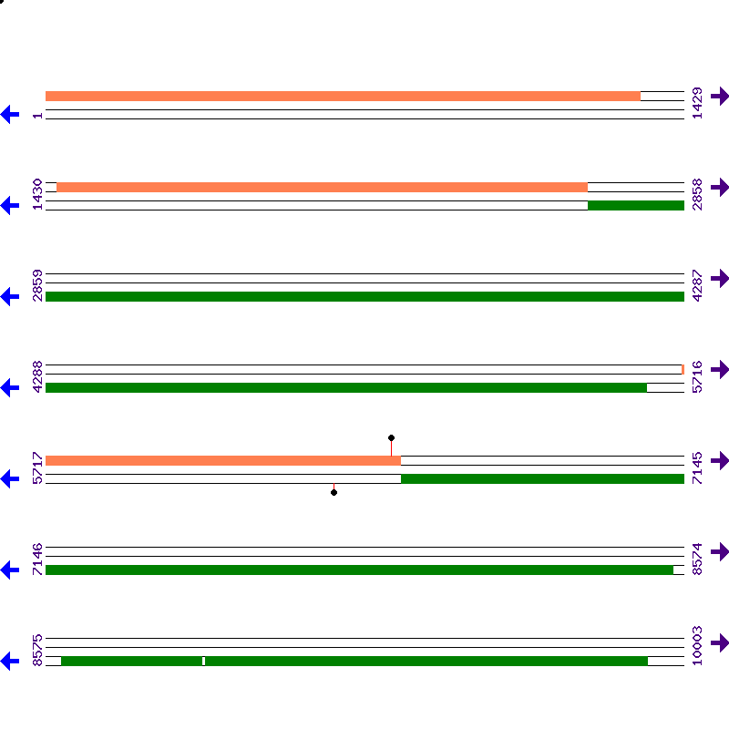 Genome View