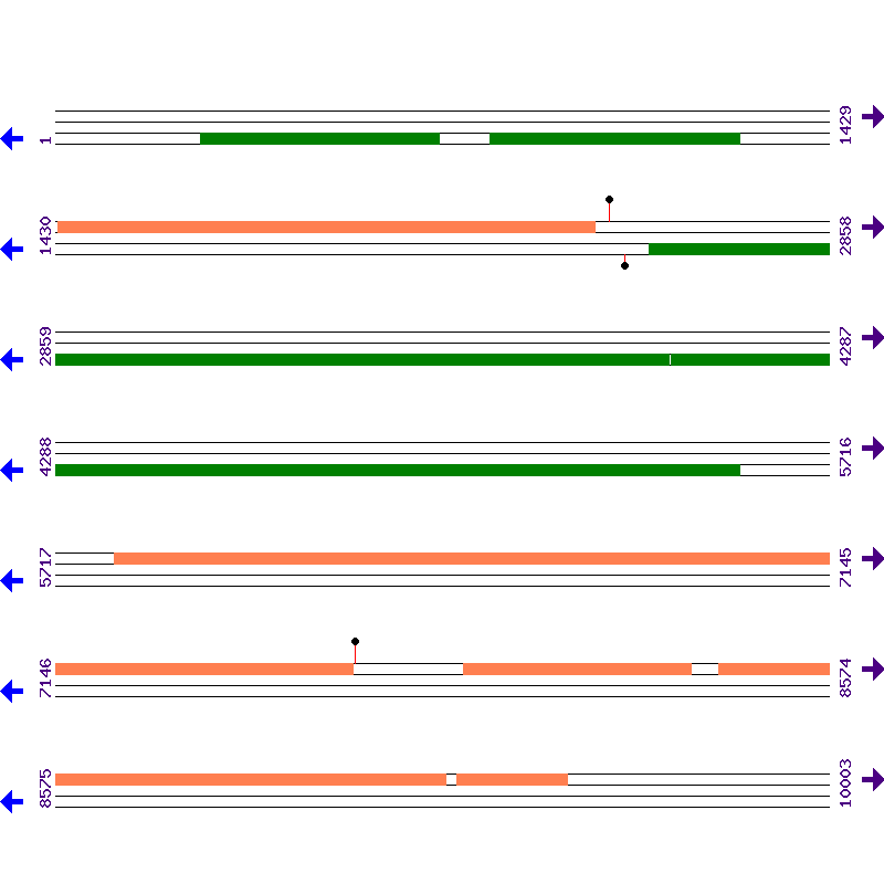 Genome View
