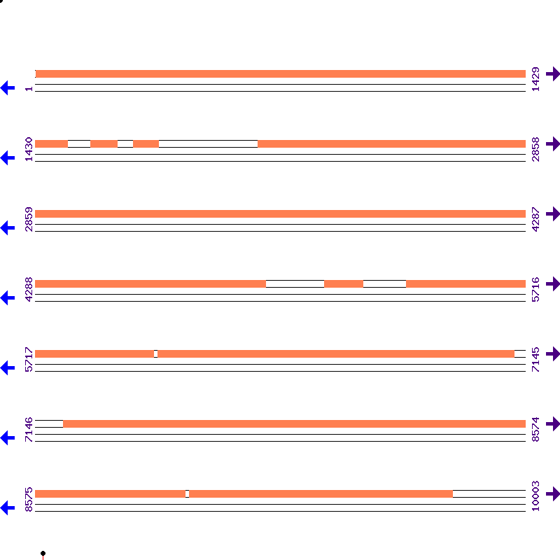 Genome View