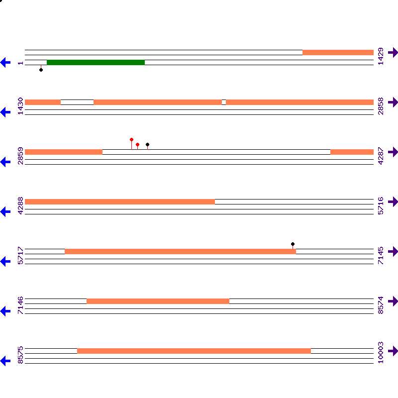 Genome View