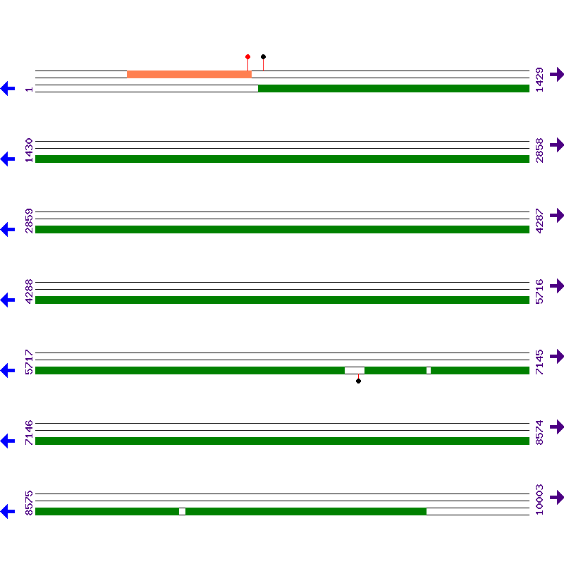 Genome View