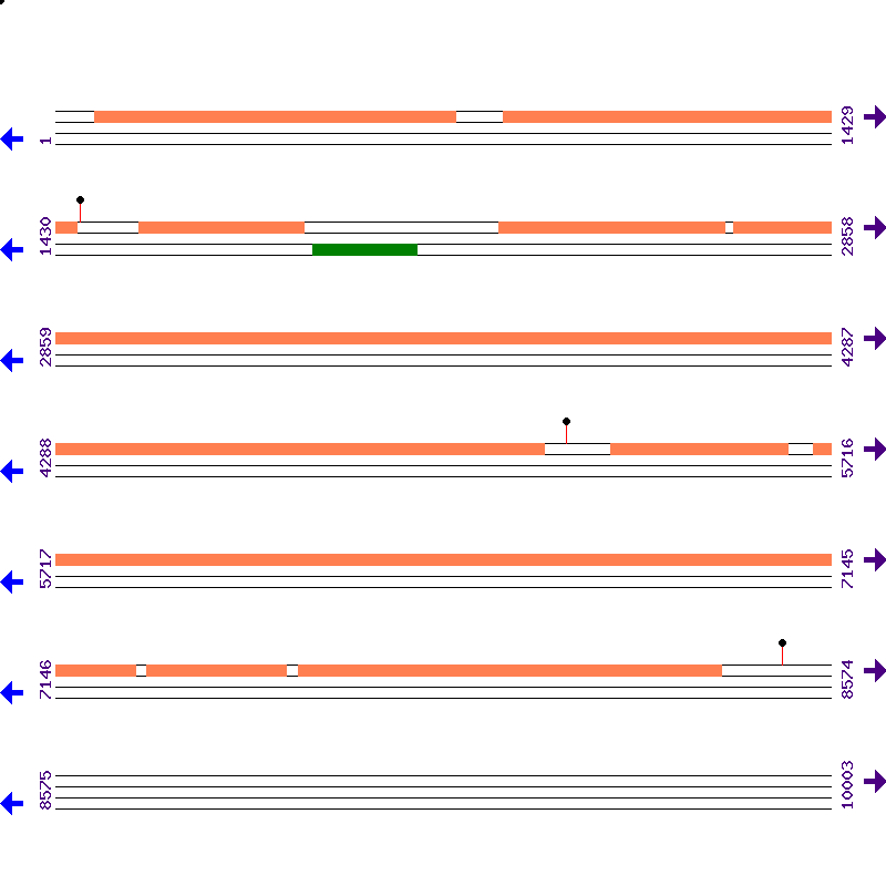 Genome View